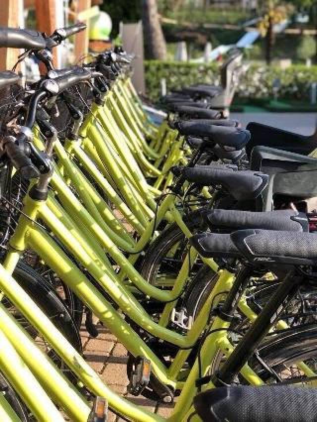 Desportos y Entretenimento