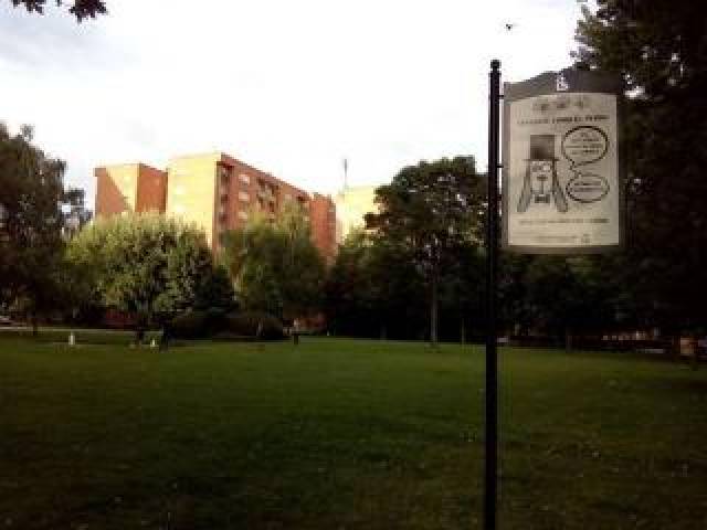 Vista General