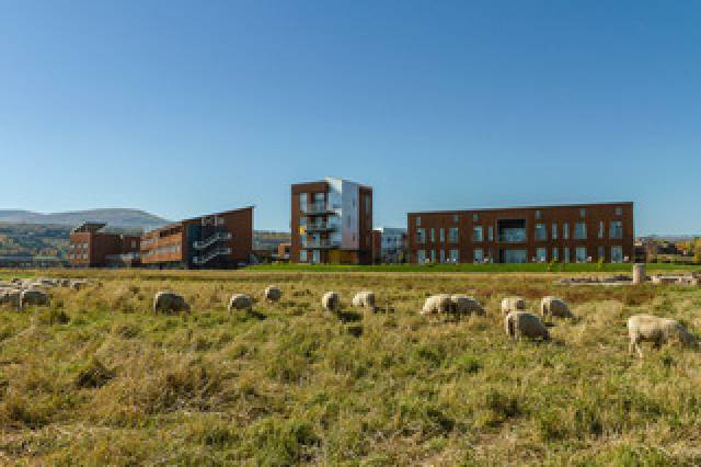Vista General