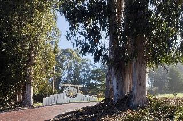 Vista General