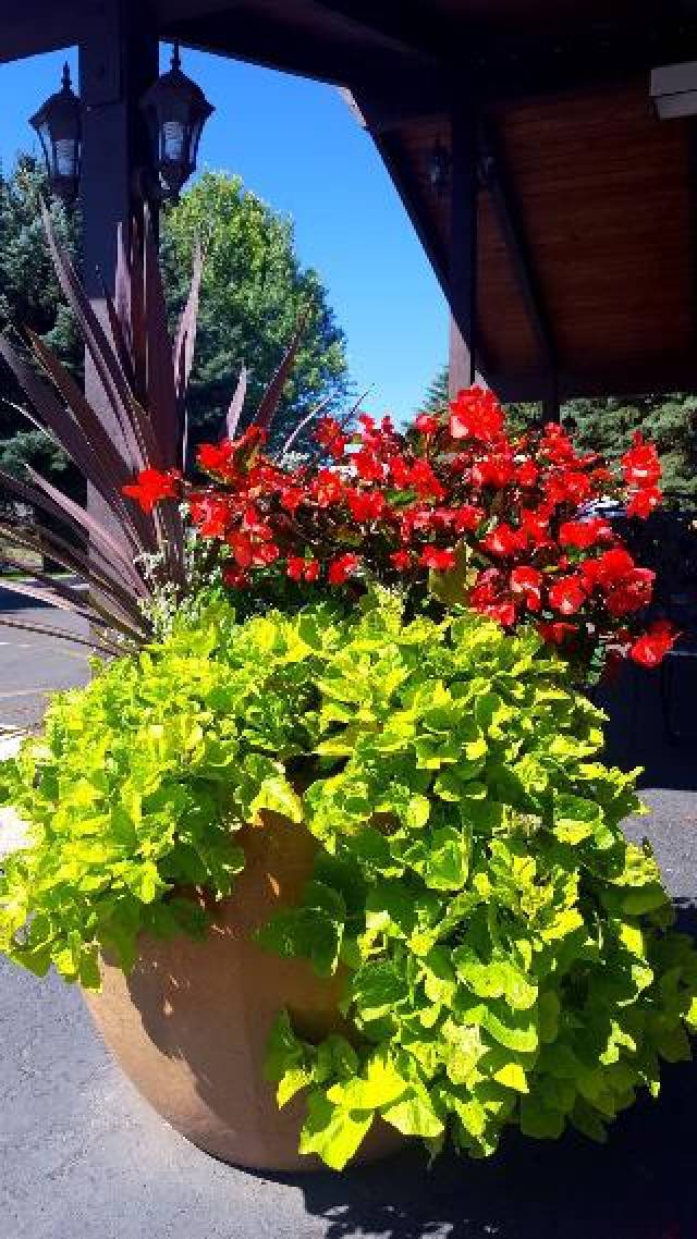 Terraço