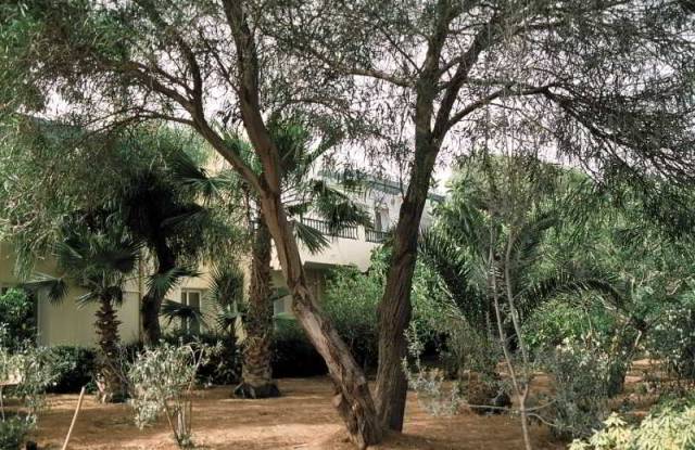 Vista General