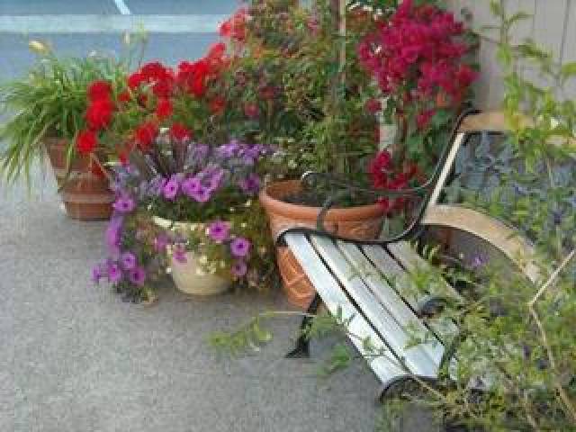 Terraço