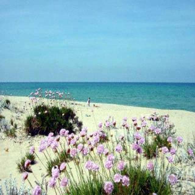 Praia