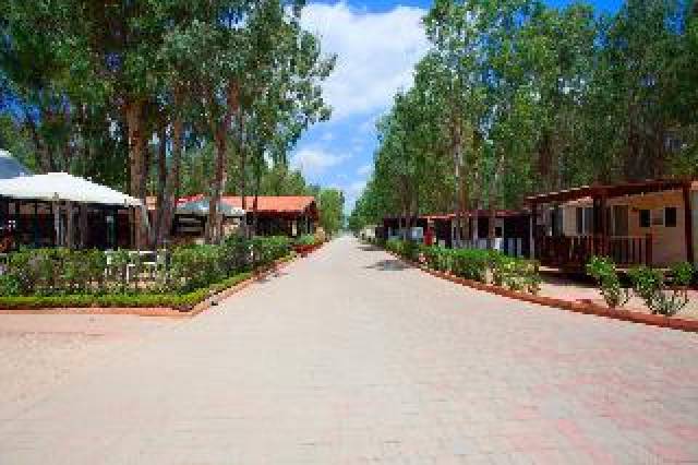 Vista General