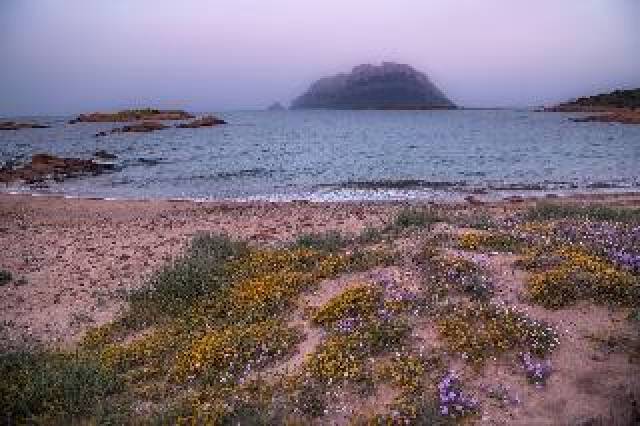 Praia