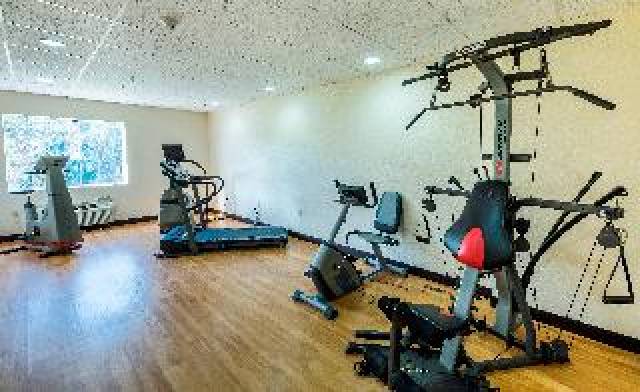 Desportos y Entretenimento