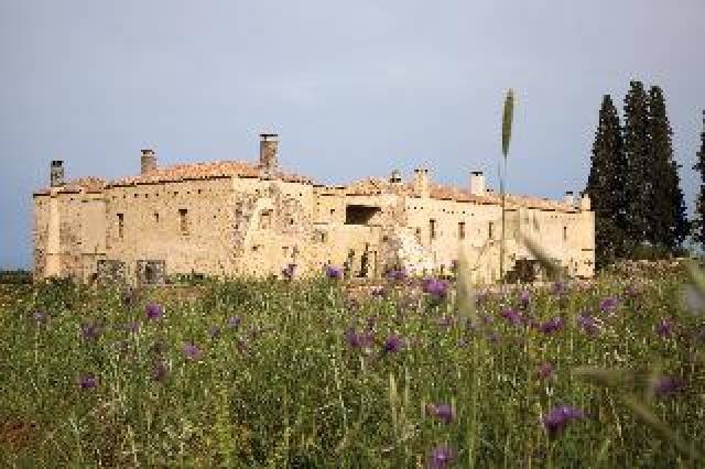 Vista General