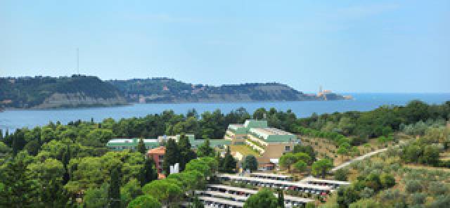 Vista General