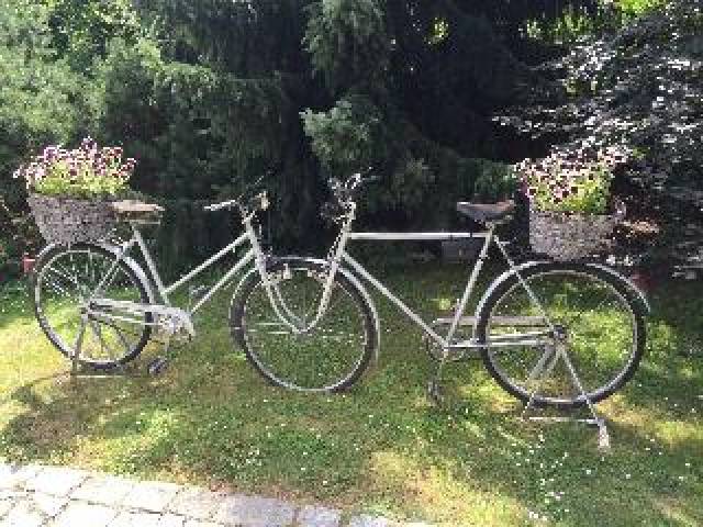 Desportos y Entretenimento