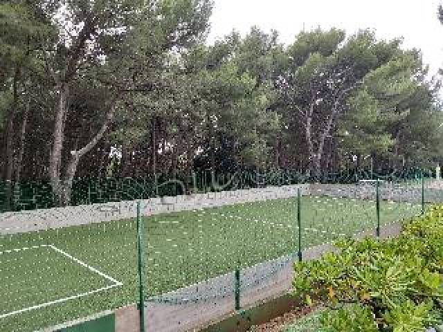 Desportos y Entretenimento