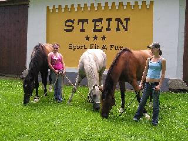 Desportos y Entretenimento