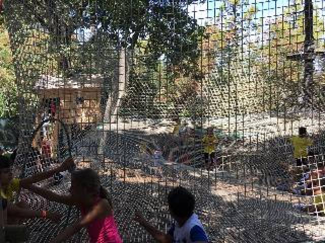 Desportos y Entretenimento