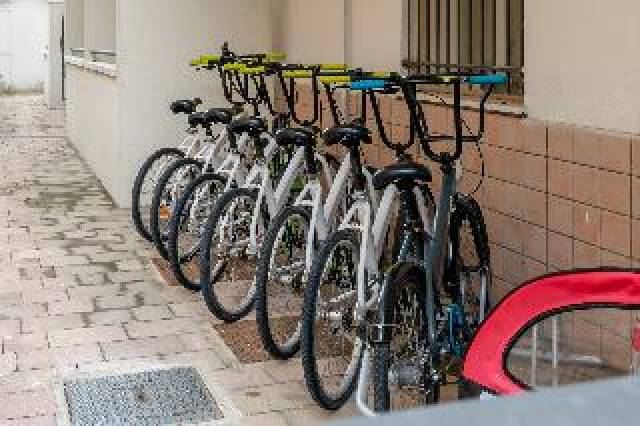 Desportos y Entretenimento
