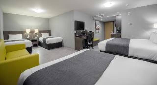 Quarto