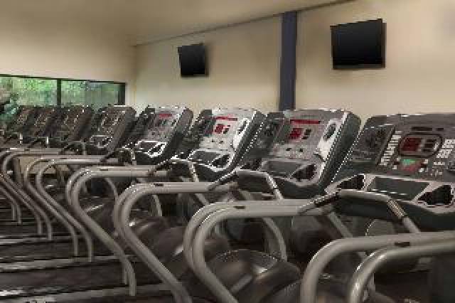 Desportos y Entretenimento