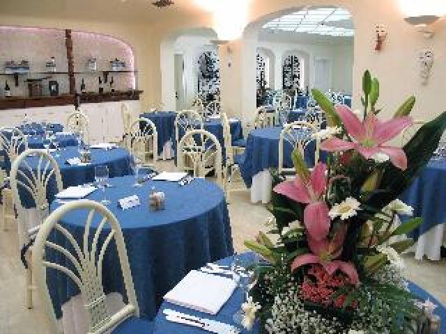 Conferencias