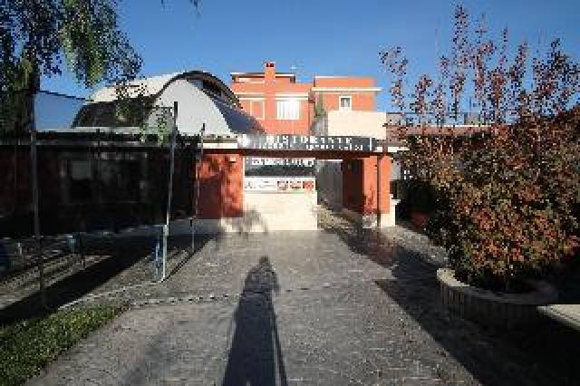 Desportos y Entretenimento
