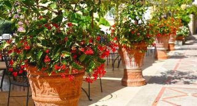 Terraço