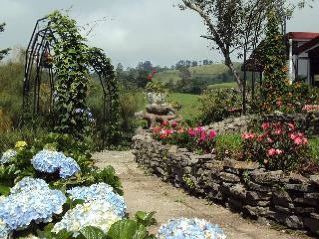 Vista General