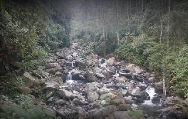 Desportos y Entretenimento