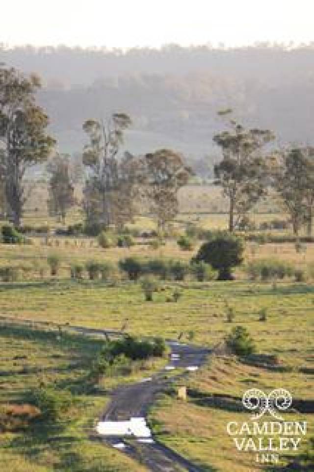 Vista General