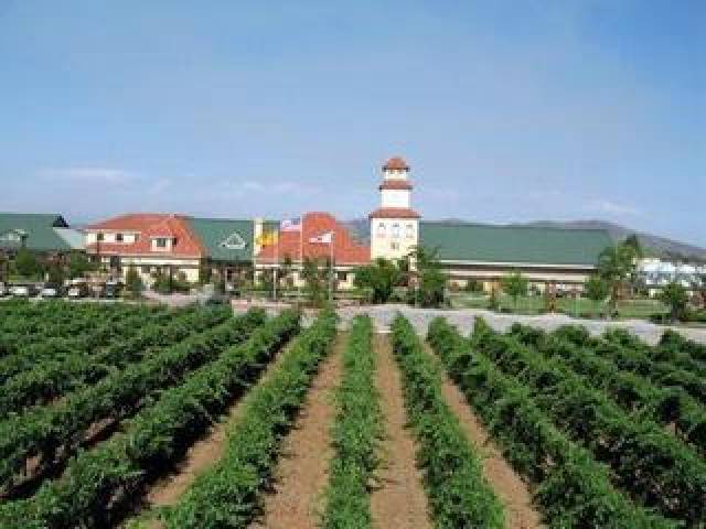 Vista General