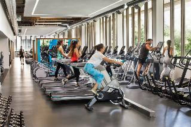 Desportos y Entretenimento