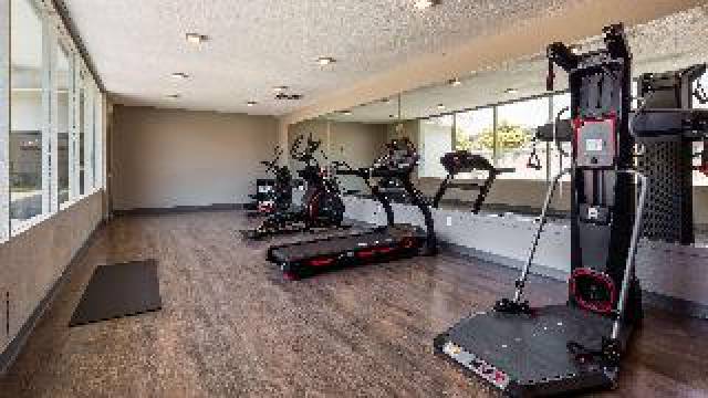Desportos y Entretenimento