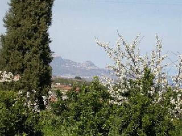 Vista General