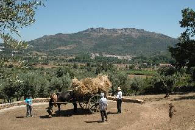 Vista General