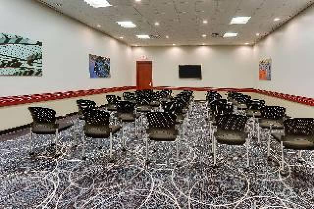 Conferencias