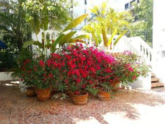 Terraço