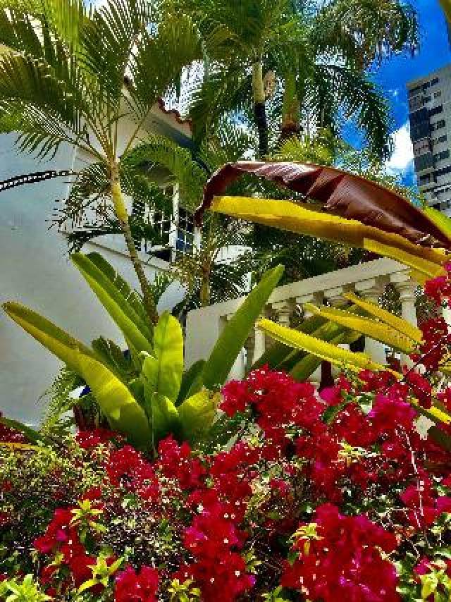 Terraço