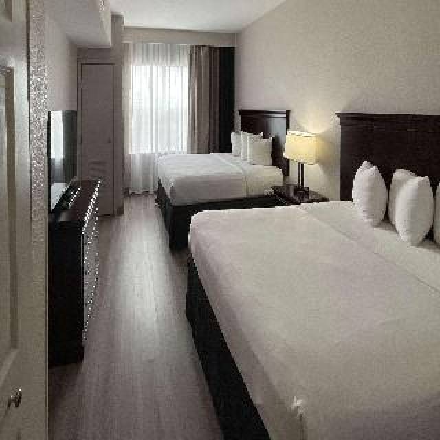 Quarto