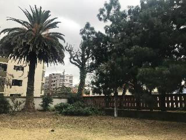 Desportos y Entretenimento