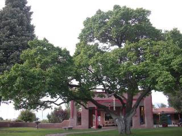 Vista General