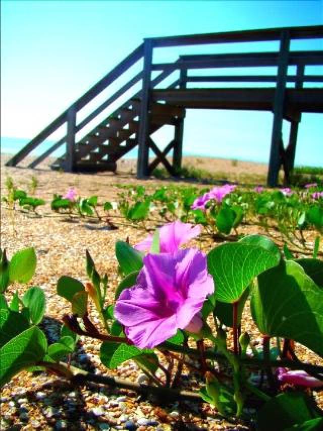 Praia