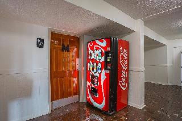 Desportos y Entretenimento