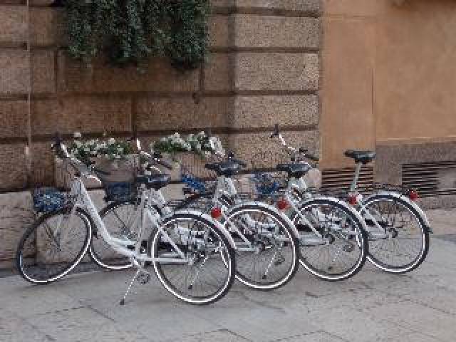 Desportos y Entretenimento