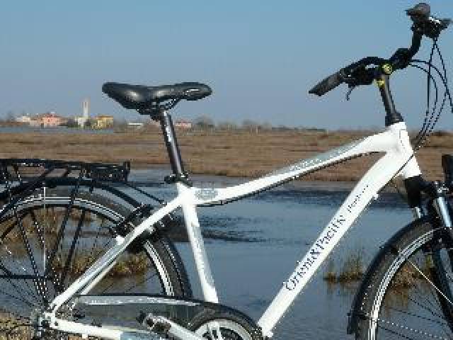 Desportos y Entretenimento