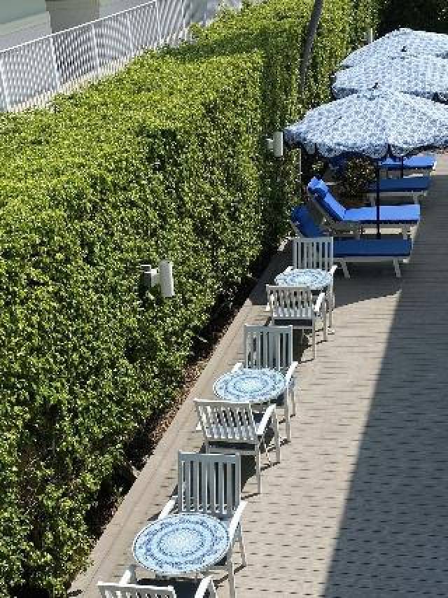 Terraço