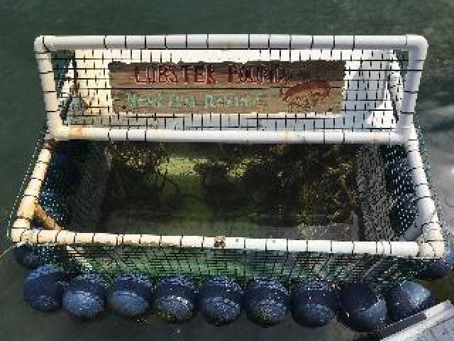 Desportos y Entretenimento