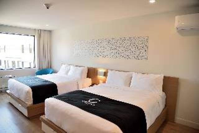 Quarto