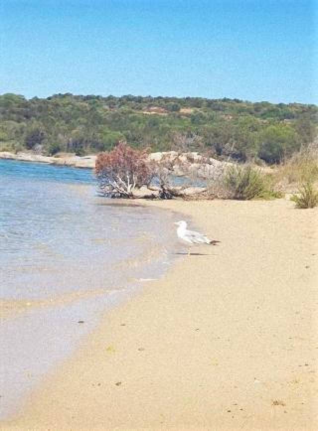 Praia