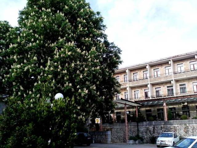 Terraço