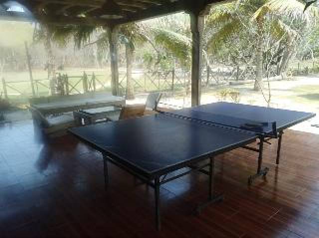 Desportos y Entretenimento