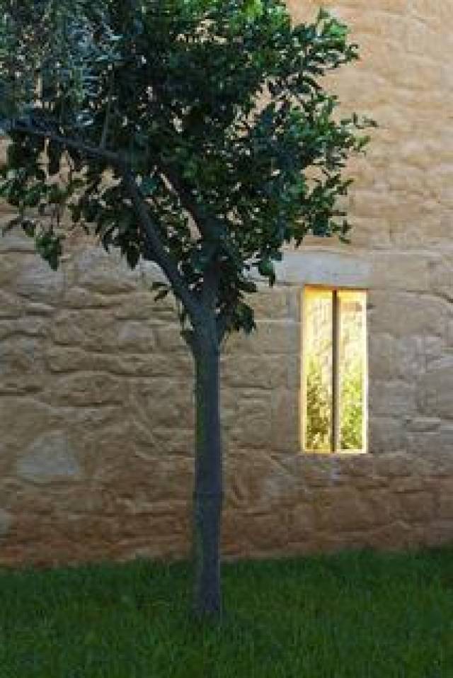 Vista General