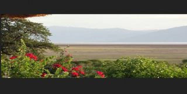 Vista General