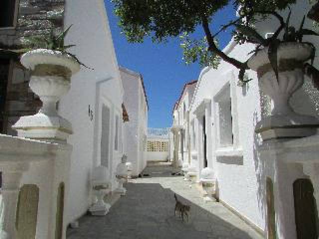 Quarto